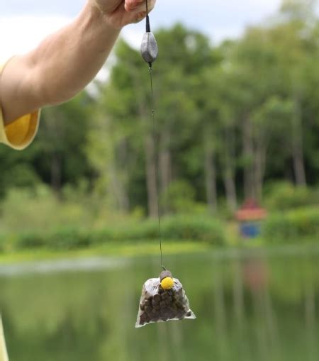 gillhams fishing forum